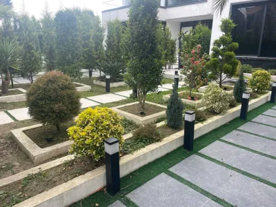 کاشت - پروژه فضای سبز کوهپری